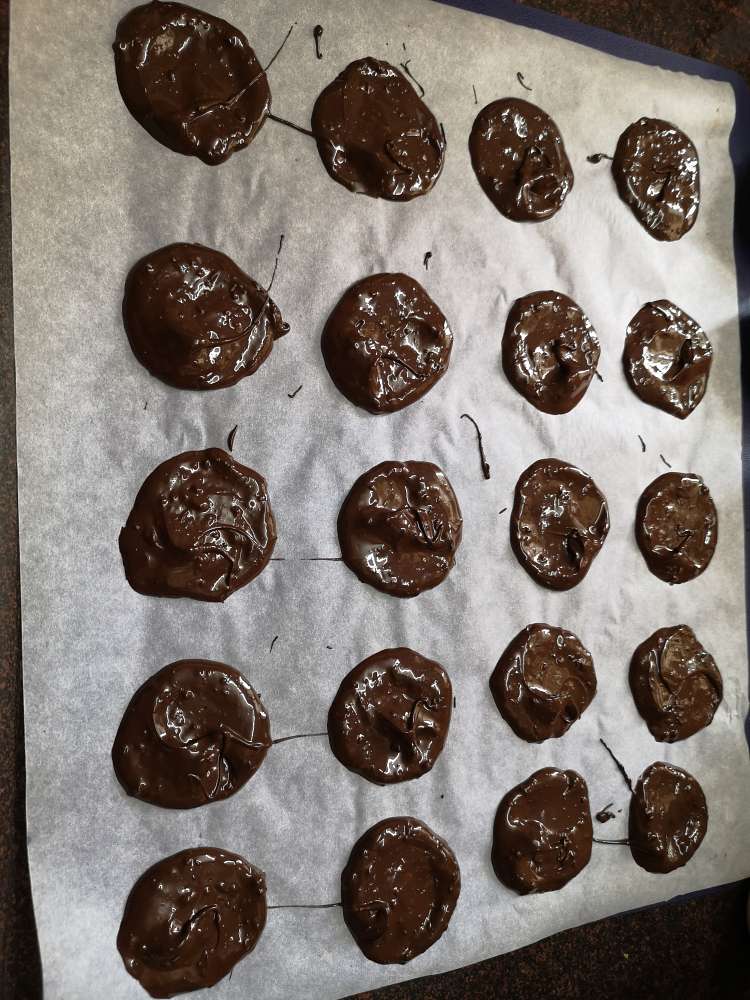 Recipe of Chocolate Mendiants, making small discs of dark chocolate on a parchment paper