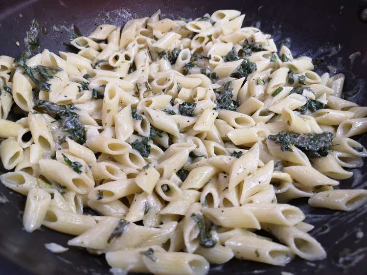close up view of lemon pasta with spinach and garlic. ready to be served