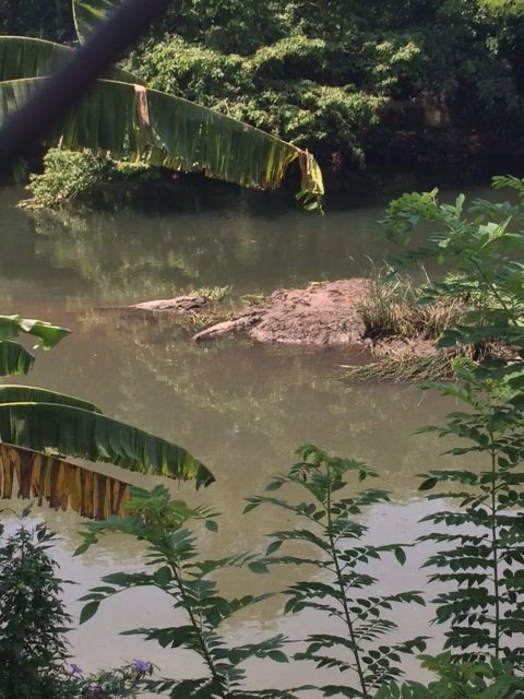Visit Crocodile park in Dandeli 